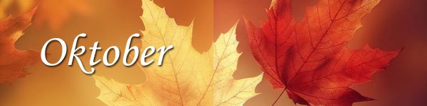 Erbjudanden i oktober