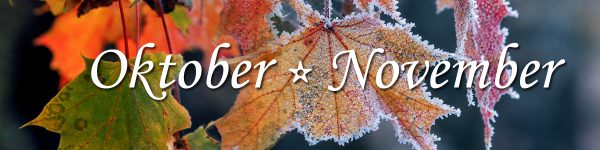 Erbjudanden i oktober & november