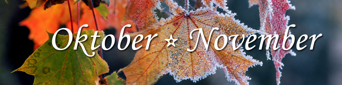 Erbjudanden i oktober & november